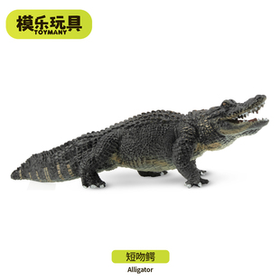 模乐玩具TOYMANY北美森林野生仿真动物模型玩具认知鳄鱼短吻鳄