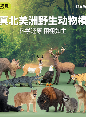 模乐玩具TOYMANY北美森林野生仿真动物模型黑熊棕熊狮子儿童玩具