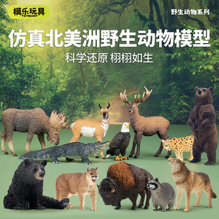 模乐玩具TOYMANY北美森林野生仿真动物模型黑熊棕熊狮子儿童玩具