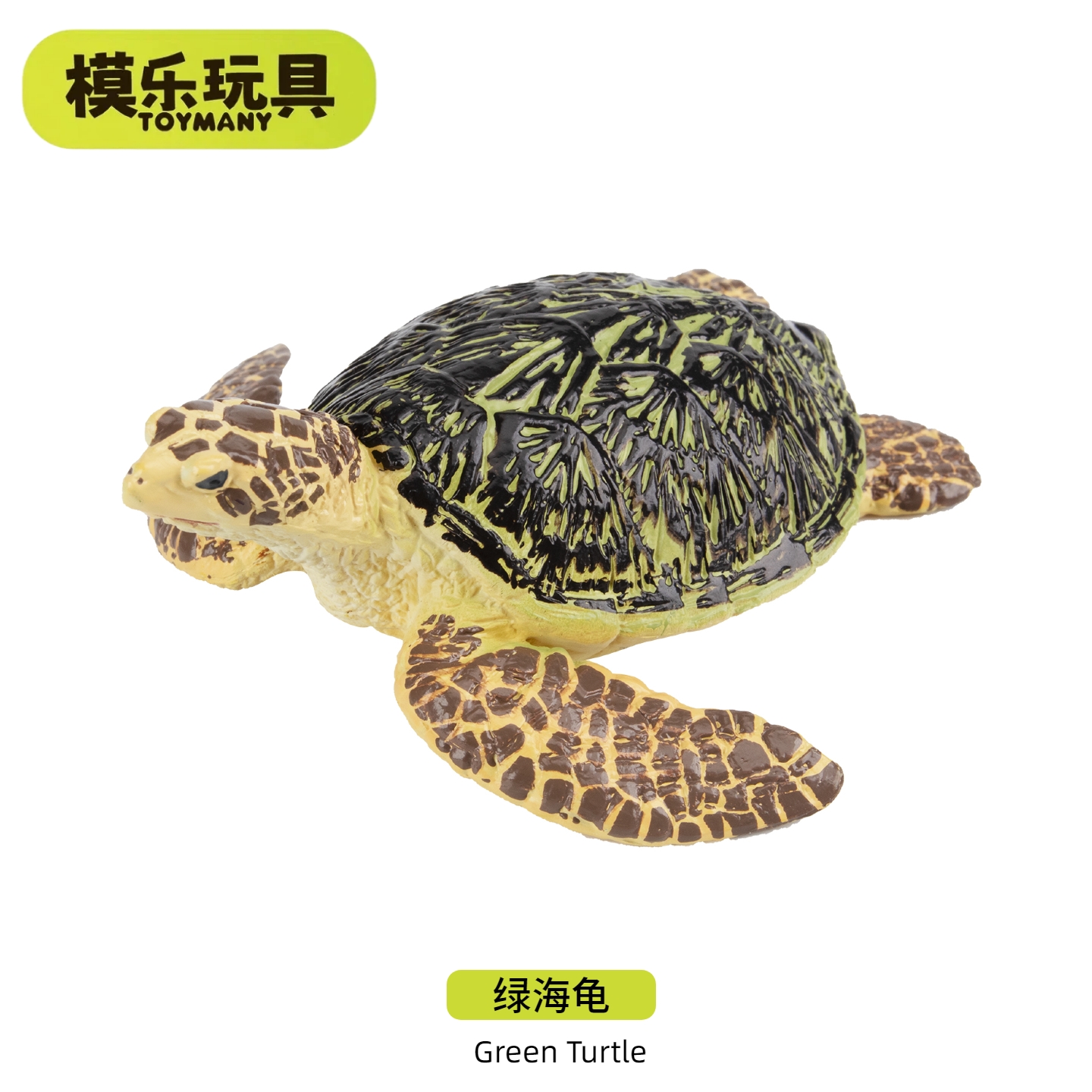 模乐玩具TOYMANY绿海龟海洋生物系列仿真动物模型绿螨龟儿童玩具