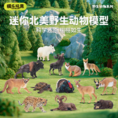 模乐玩具TOYMANY迷你北美森林野生仿真动物模型棕熊狮子儿童玩具
