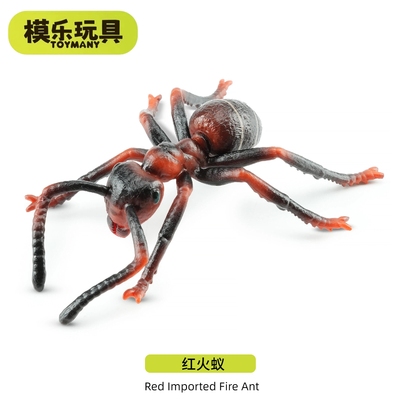 模乐玩具TOYMANY红火蚁仿真动物昆虫甲虫模型蚂蚁儿童玩具