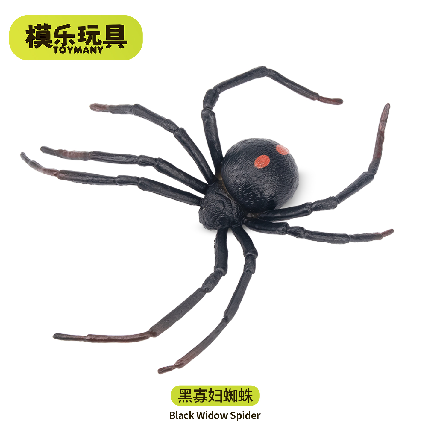 模乐玩具TOYMANY野生爬行仿真动物模型黑寡妇蜘蛛玩具儿童认知