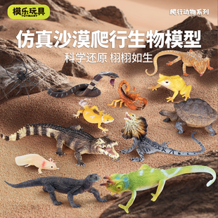模乐玩具TOYMANY仿真蜥蜴爬行动物模型变色龙科莫多巨蜥儿童玩具