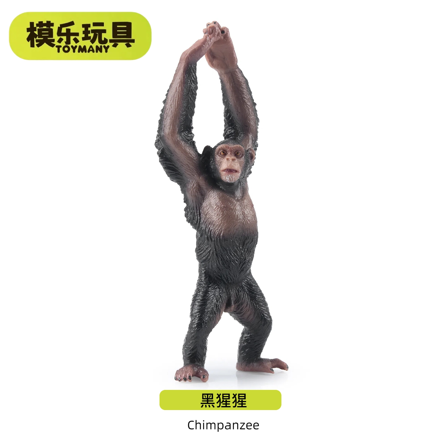 模乐玩具TOYMANY黑猩猩灵长类系列野生仿真动物模型猴子儿童玩具