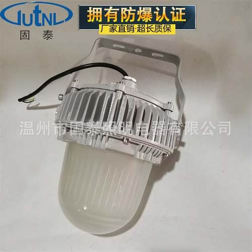 LED防爆泛光灯BFC8130-100W海边石油平台灯80W防爆灯