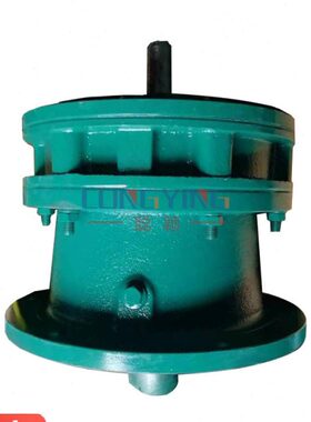 BLBL减速机-1818BL18摆线减速机-1111-摆线针轮减速机11