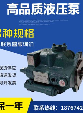 A1  15-R15A3-泵1595V工业95R塞VV泵机械油R柱-A295