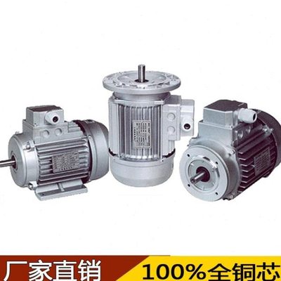 YS铝壳电机 YS8024 0.75KW YS系列电机 电机