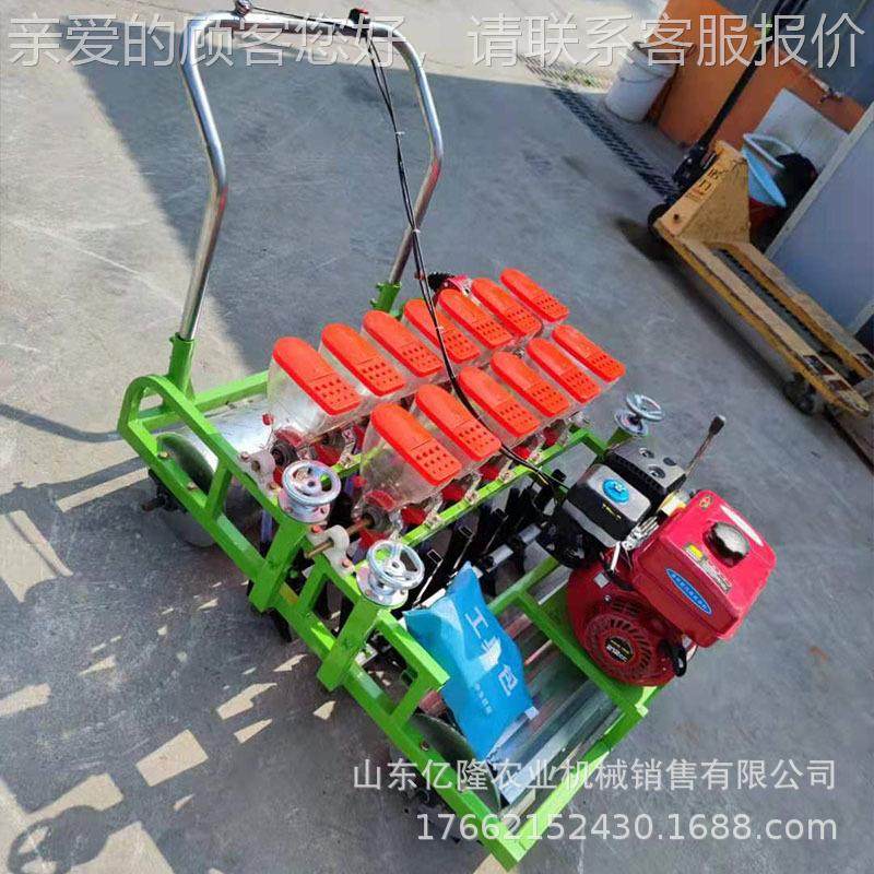 拖拉机牵引蔬播菜播种机 大油菜香菜点机yl-bzj 生韭菜菜精葱播机