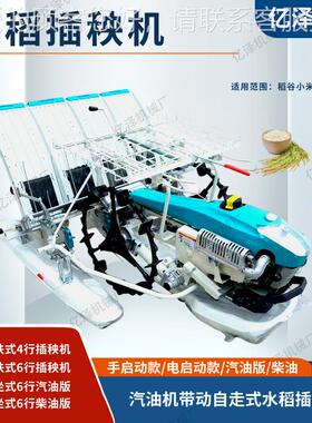 种扶式水稻插秧机秧苗植用手的4行6汽行插秧器油版RXJ柴油版秧苗