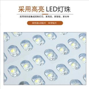 新款 加厚太阳能路灯6m100W厂区户外农村建设乡村亮化工程梅桦灯饰