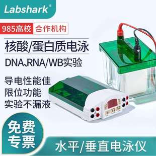 Labshark水平垂直电泳仪电源wb实验室电泳槽琼脂糖蛋白检测转印膜