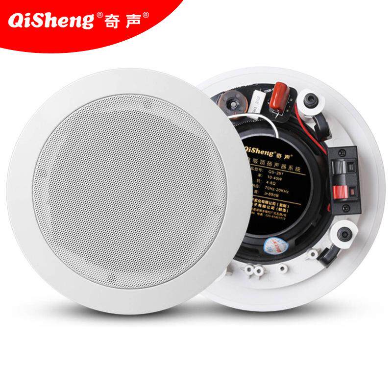 奇声（QISHENG）家庭影院同轴吸顶定阻KTV客厅吸顶HIFI喇叭音箱Q