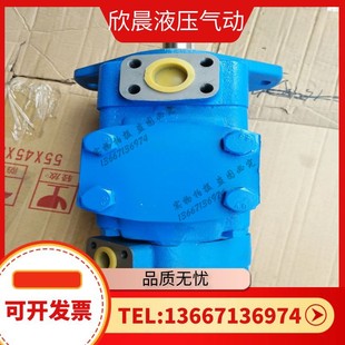 FQ63 FQ100 高压叶片泵 200 FQ40 125 泵芯 广东广液油泵YB