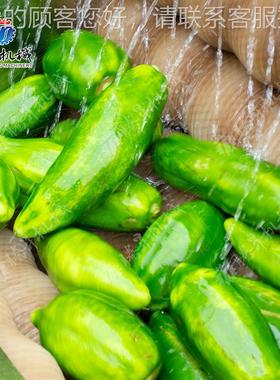 毛刷式洗果机 土红薯清豆洗机 毛辊清洗机厂家AWK直小型销