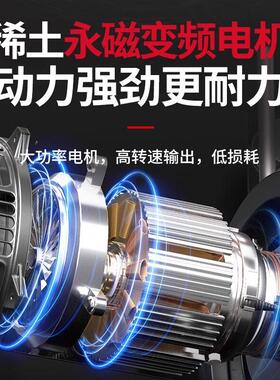 德力西磁变频空螺永杆式空压机15/22/37kw螺DLX-LGJ4杆气泵工业级