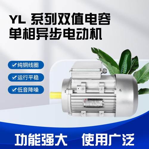 龙然机电单相异步双值交流高速电动机B14铝壳纯铜电机220电机马达