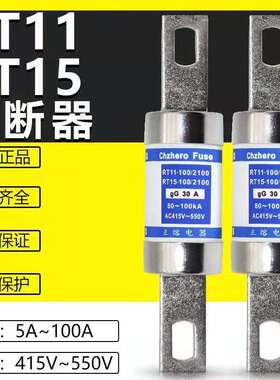 RT11RT15熔断器螺栓连接式熔断体5A100A550V高压熔断器