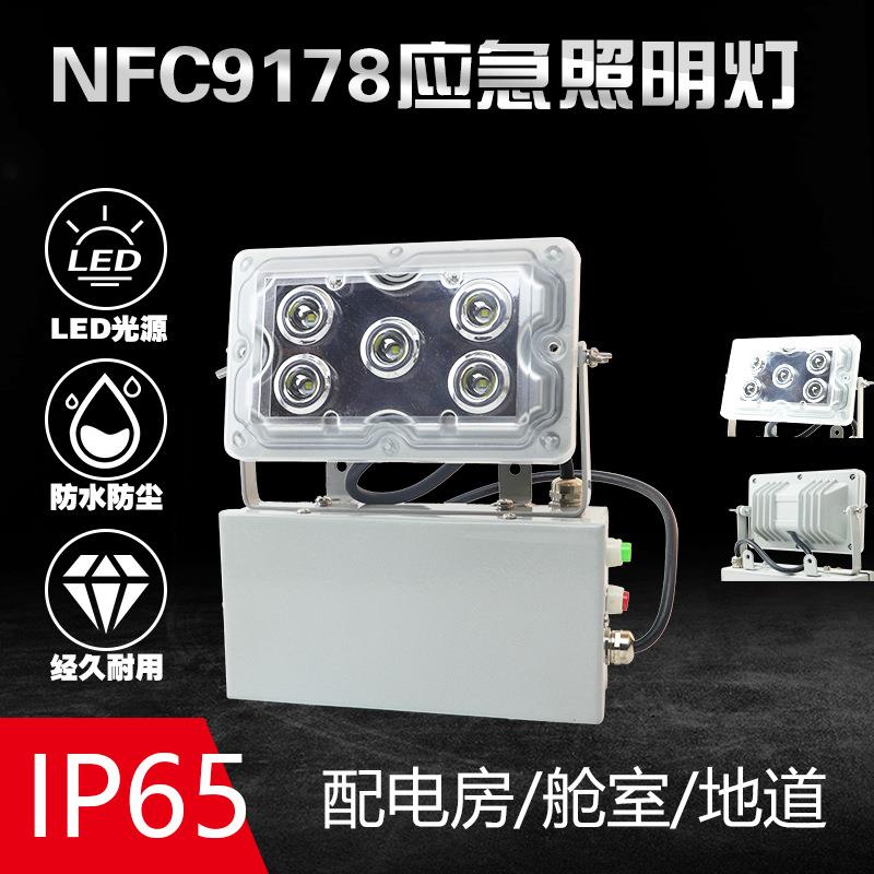 NFC9178固态应急照明灯15W节能低顶灯LED配电房走廊应急灯防水