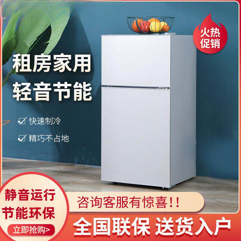 小冰箱家用双门小型二人迷你冰柜冷冻冷藏宿舍租房节能一件起批