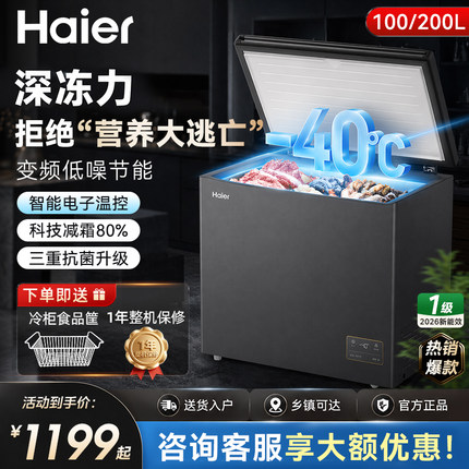 【新品】海尔冰柜家用冷冻小型100/200升一级变频冰箱冷藏低温柜