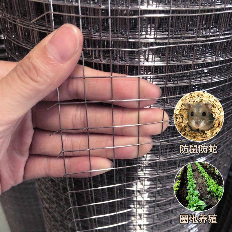 厂家镀锌丝电焊养鸡养鸭漏粪网防护镀锌钢丝网养殖果园围栏