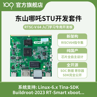 韦东山全国产RISC-V Linux系统全志D1全开源东山哪吒开发板套件
