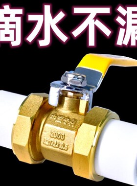 德国进口全铜PPR双活接铜球阀热熔管阀门20 25 32 4分 6分1寸双头