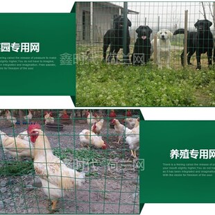 加粗铁网围栏养殖网包邮家用山鸡养鸡场家禽塑钢网子防锈防护1.。
