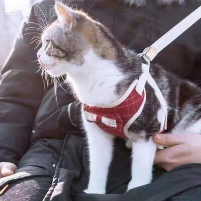 猫咪牵引绳幼绳猫遛猫猫小防挣脱链MHO子舒适材式质可爱背心包邮