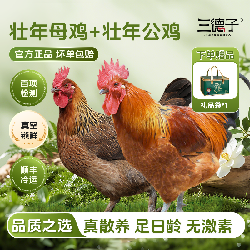 三德子 【壮年母鸡+壮年公鸡】散养土鸡大公鸡老母鸡我生鲜鸡肉