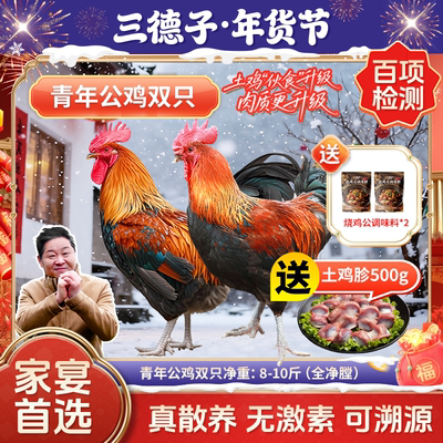 三德子 青年大公鸡双只土鸡农家粮食散养生鲜整只鸡肉送辣卤零食