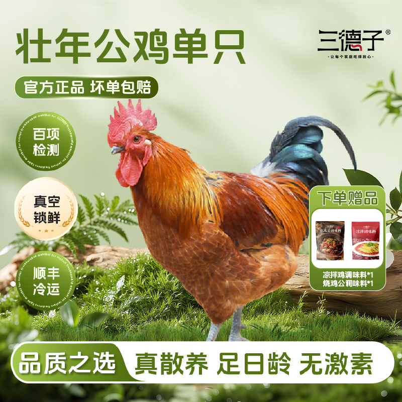 三德子生鲜 单只壮年大公鸡4.5-5.5斤农家粮食散养生鲜整只鸡肉