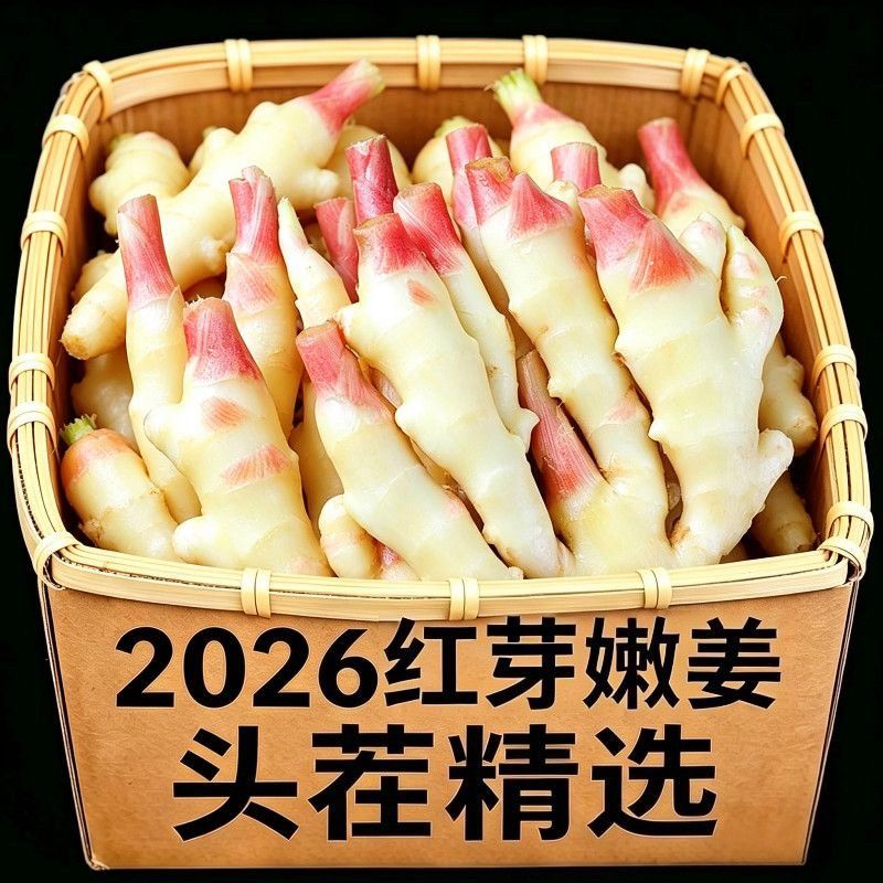 【5斤整块姜】山东红芽嫩姜新鲜现挖仔姜嫩生姜香去腥泡姜用