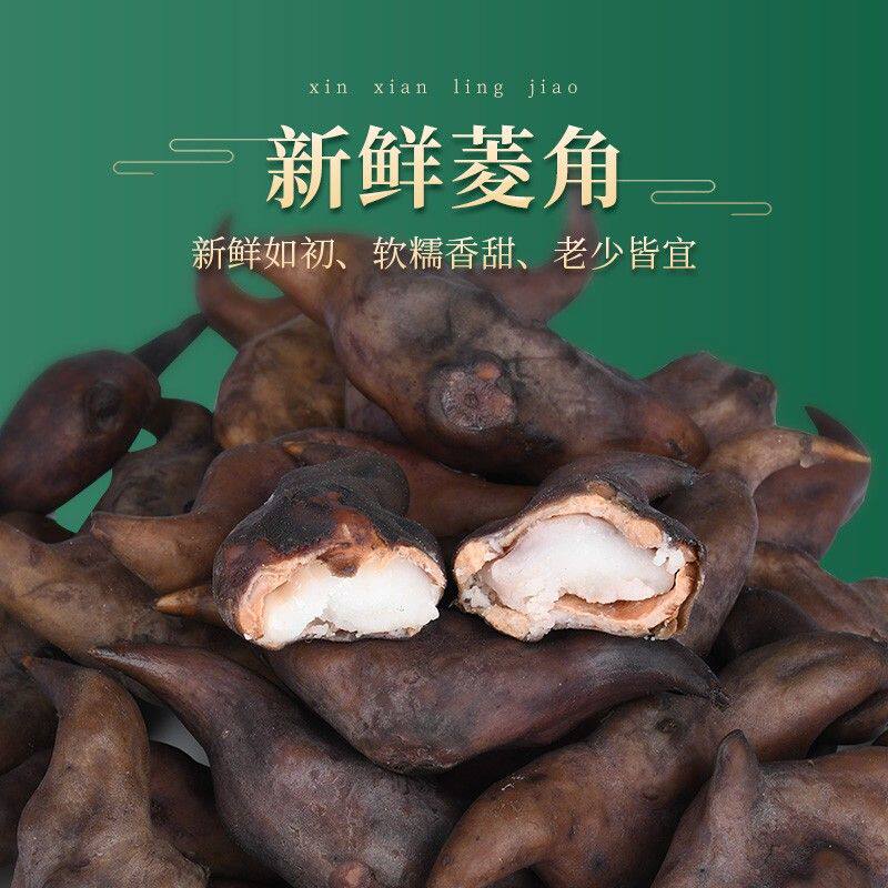 洪湖特产菱角新鲜粉糯老菱角黑棱角现摘现发1斤/3斤/5斤湖北蔬菜