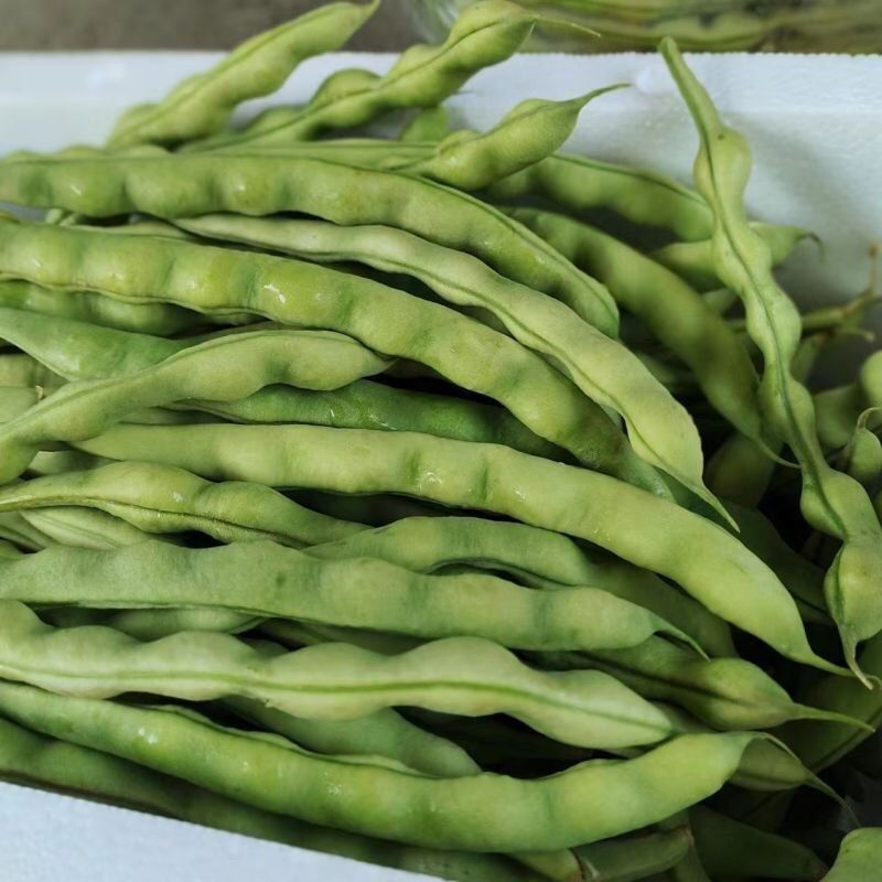 贵州农家新鲜棒豆四季豆芸豆豆角自种扁豆刀豆现摘蔬菜时令蔬菜