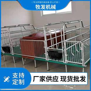 3.8米双体分娩床产 养猪设备厂家供应猪场通板母猪连体产床2.2米