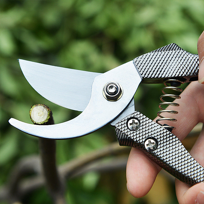 包邮 园林花木修剪工具 修枝剪 果树剪刀 整枝剪 园艺剪枝树