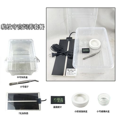 爬虫饲养盒宠物饲养盒角蛙蜘蛛守宫蜗牛蛇防越狱方便用加热垫盒子