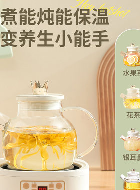 煮水果茶的玻璃锅专用茶壶套装容器热红酒锅器皿家用电陶炉器具壶