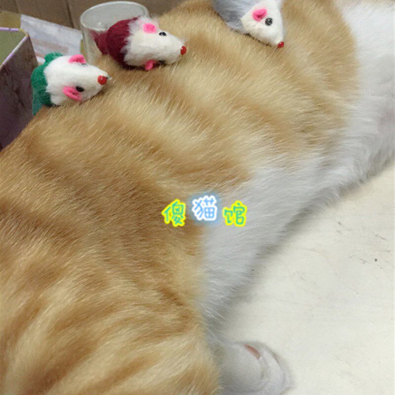傻猫馆 猫超爱 仿兔皮兔毛小老鼠猫玩具兔皮老鼠兔毛老鼠  10只装