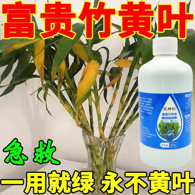富贵竹专用营养液土培水培盆栽植物通用型花肥花卉治黄叶生根土壤,鲜花速递/花卉仿真/绿植园艺,家庭园艺肥料,淘宝优惠券,粉丝福利购,淘宝优惠卷