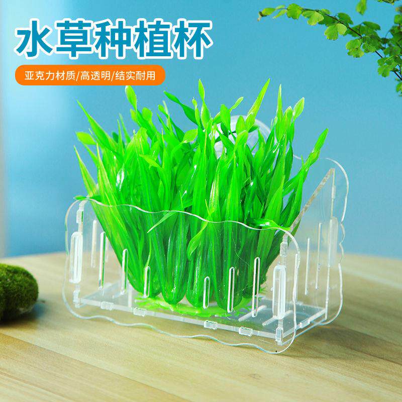 鱼缸水草杯盆悬挂草缸造景