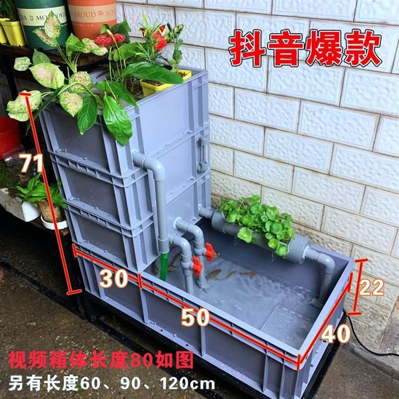 水培箱植物过滤箱沼泽过滤