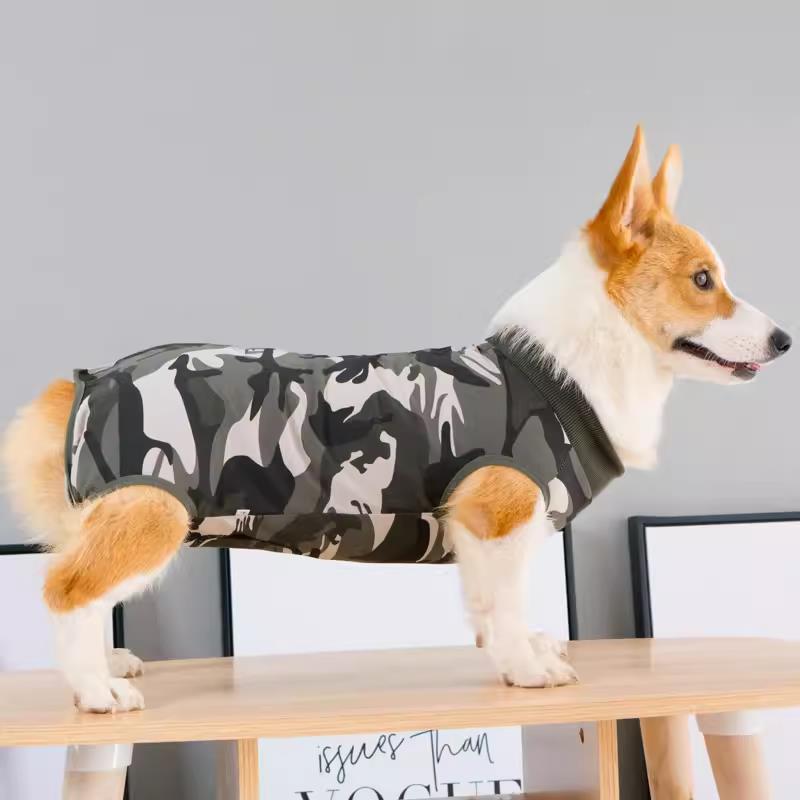 狗狗绝育衣服母狗猫咪包肚