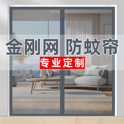 防蚊门帘夏季新款家用金刚