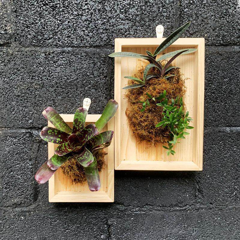 鹿角蕨挂板极简实木垂吊定