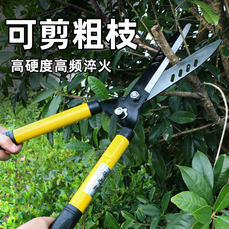 草坪专修剪林绿化修剪刀园林修枝剪苗圃修剪工具茶树花树伸缩剪枝