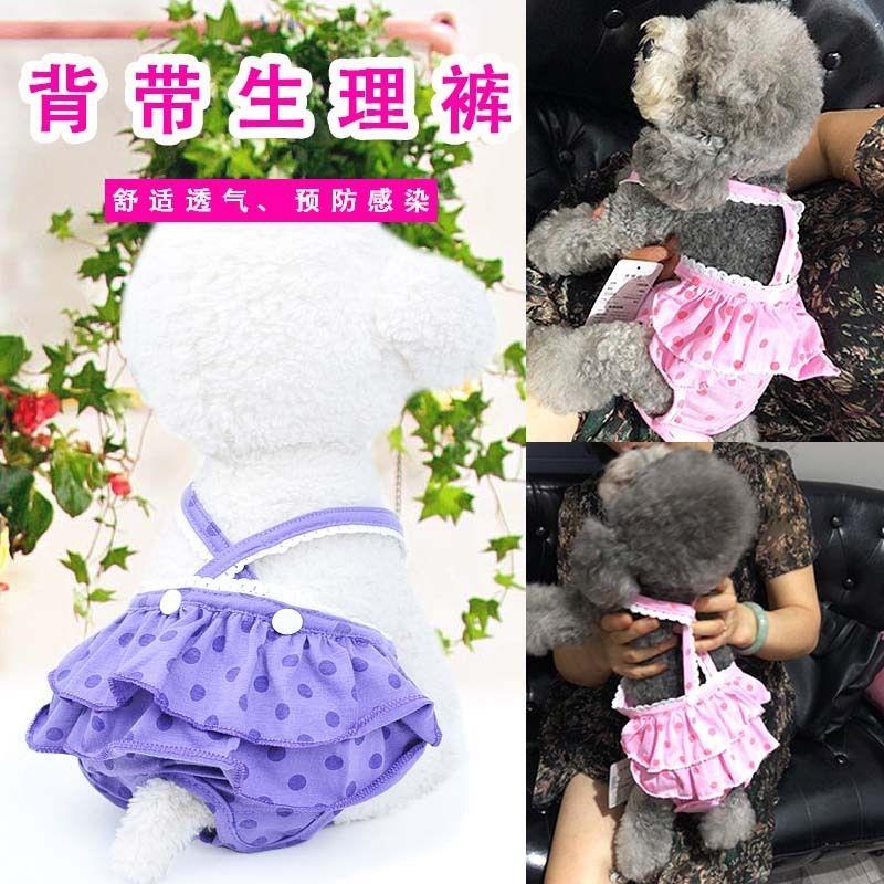 宠物狗狗生理裤泰迪波点背